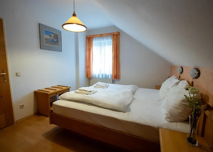 Dachstein West Annaberg im Lammertal